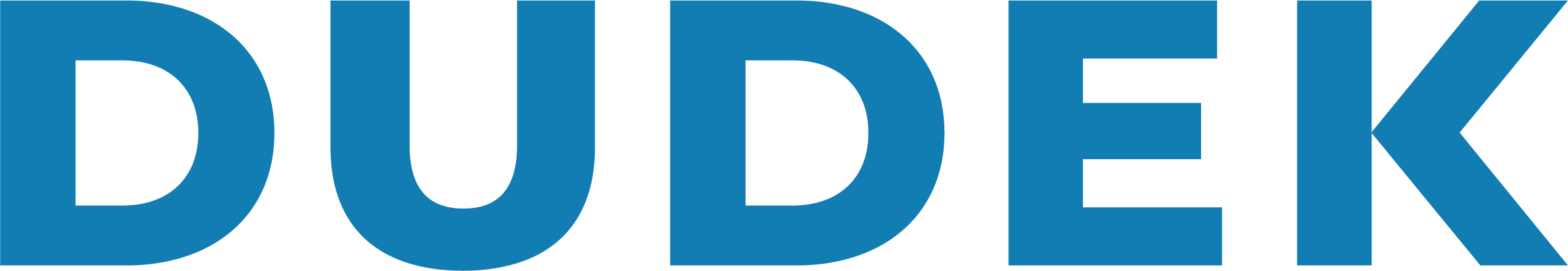 dudek logo